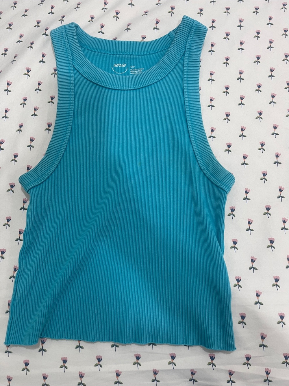 aerie Ribbed Tank Top in Teal Blue